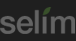 Selim Intellectual Property Law Firm
