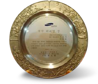 The Representative of the Year Award from Samsung Electronics Co. Ltd